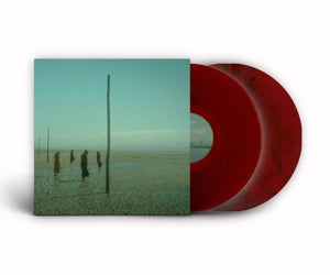 Devil's Witches – In All Her Forms vinyl