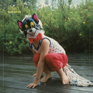 Barnet – Galen Och Kar (1LP Vinyl)