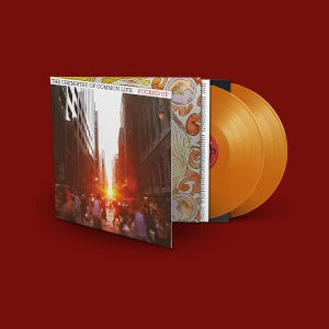 Fucked Up – Chemistry of Common Life (2LP, farbiges Vinyl)