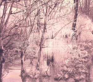 Esben and the Witch – Violet Cries cd