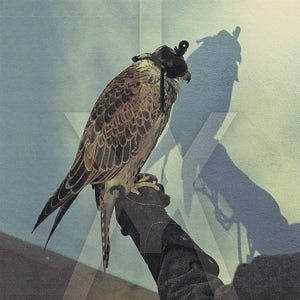 Iceage – You're Nothing (1 CD)