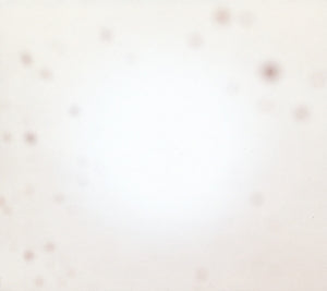 Yo La Tengo – There's a Riot Going On (1LP Vinyl)