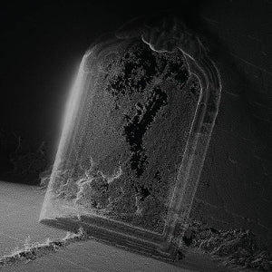 Visible Cloaks – Paradessence (1LP Vinyl)