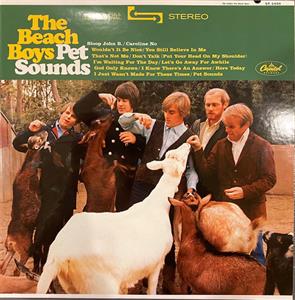 Beach Boys – Pet Sounds (2LP Vinyl)