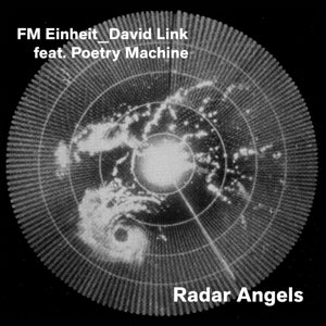 Fm Einheit – Radal Angel vinyl