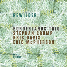 Borderlands Trio – Rewilder cd