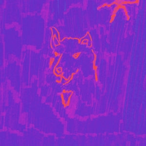 Dehd – Poetry cd