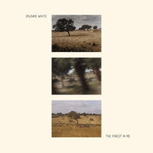 Xylouris White – Forest In Me cd