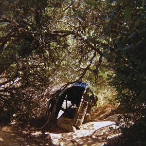 Segall, Ty – Possession vinyl