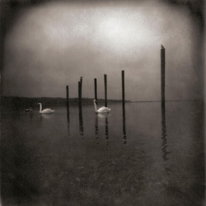 Om – Conference of the Birds (1LP Vinyl)