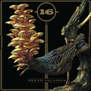 16 – Dream Squasher vinyl