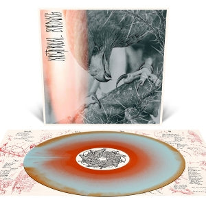 Author & Punisher – Nocturnal Birding (1LP Vinyl)