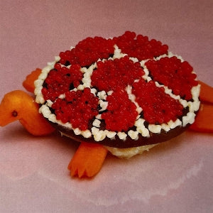 Sharp Pins – Turtle Rock vinyl