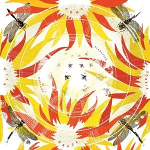 Deplume, Alabaster – Come With Fierce Grace cd