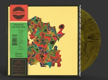 Ntuli, Thandi & Carlos Nino – Rainbow Revisited vinyl