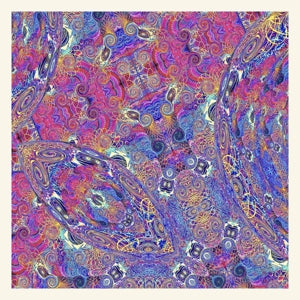 Carlos Nino & Friends – Placenta vinyl