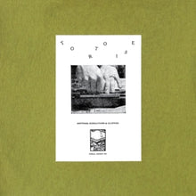 Tortoise – Rhythms, Resolutions & Clusters vinyl