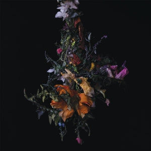 Big Brave – Nature Morte vinyl