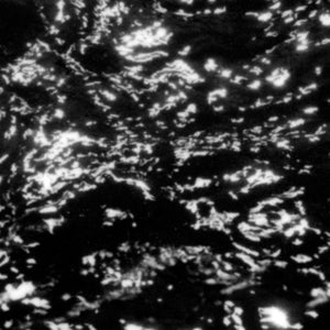 Grouper – Aia: Dream Loss vinyl
