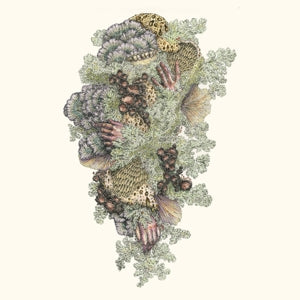 Pyrithe – Monuments To Impermanence (1CD)