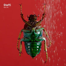 Steffi – Fabric 94: Steffi cd