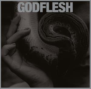 Godflesh – Purge cd