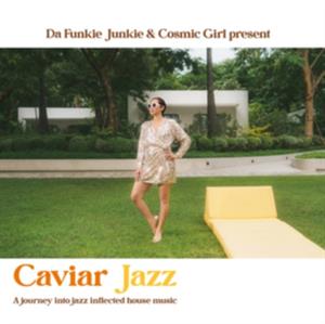 V/A – Caviar Jazz - a Journey Into Jazz Inflected House Music vinyl