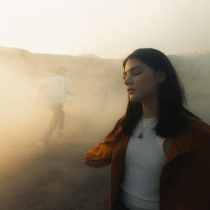 Sunsleeper – While You Can (1LP Vinyl)