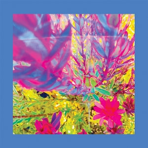 Reds, Pinks and Purples – The Past is a Garden I Never Fed vinyl