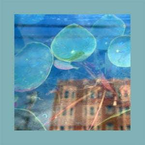 Reds, Pinks & Purples – Acknowledge Kindness vinyl