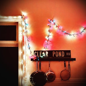 Hersh, Kristin – Clear Pond Road vinyl