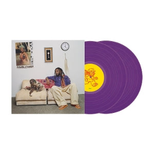 Amine – 13 Months of Sunshine vinyl
