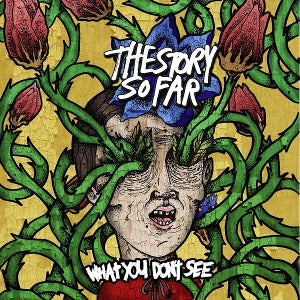 Story So Far – What You Don't See (1LP, Coloured Vinyl, Reissue)