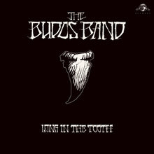 Budos Band – Long In the Tooth cd