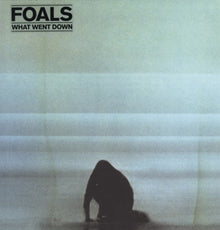 Foals – What Went Down vinyl