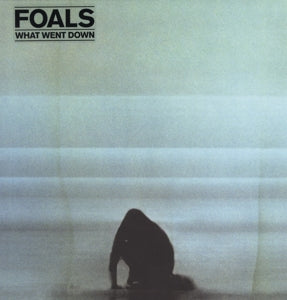 Foals – What Went Down (1LP Vinyl, Warner Music)