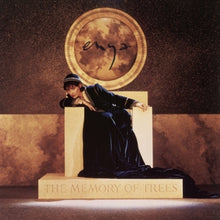 Enya – Memory of Trees vinyl