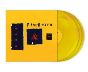 Pinegrove – Everything So Far vinyl