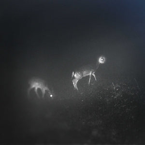 Bliss Signal, Mumdance, Wife – Bliss Signal (1LP Vinyle)