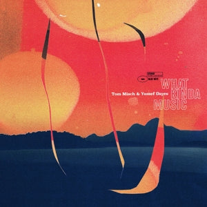Tom Misch, Yussef Dayes – What Kinda Music (2LP Vinyl)