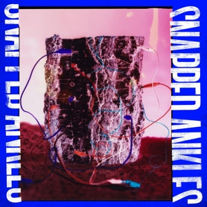 Snapped Ankles – Forest of Your Problems (1LP Vinyl)