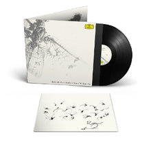 Eno, Roger – Without Wind, Without Air | 0028948674367 | extra productbeeld