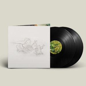 Big Thief – Dragon New Warm Mountain I Believe In You | 0191400040816 | extra productbeeld