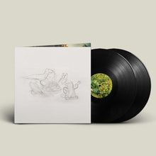 Big Thief – Dragon New Warm Mountain I Believe In You | 0191400040816 | extra productbeeld