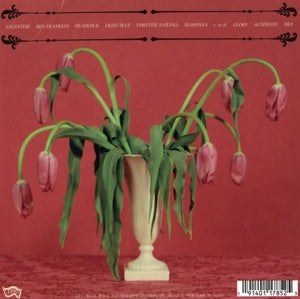 Snail Mail – Valentine | 0191401178525 | extra productbeeld