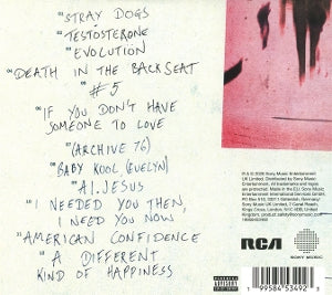 Nothing But Thieves – Stray Dogs | 0199584534923 | extra productbeeld