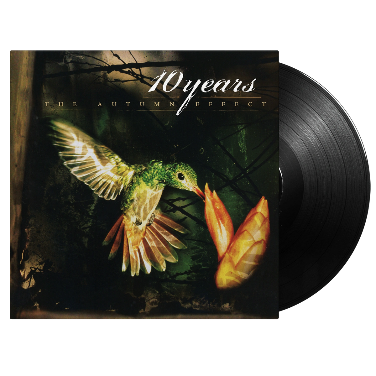 Ten Years – Autumn Effect | 0600753946480 | extra productbeeld