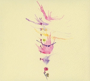 All Them Witches – Atw | 0607396643721 | extra productbeeld