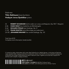 Dahlmann, Thilo & Hedayet Jonas Djeddikar – Darkness | 0608917200294 | extra productbeeld