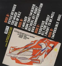 Stevens, Sufjan – The Age of Adz | 0656605607719 | extra productbeeld